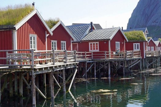 Das Bild zeigt eine Reihe von roten Holzhäusern auf den Lofoten, die auf Stelzen über dem Wasser gebaut wurden, wahrscheinlich in einem Küstengebiet. Die Häuser haben weiß gerahmte Fenster und einige haben grasbewachsene Dächer. Ein Holzsteg verbindet die Häuser, der parallel zum Wasser verläuft. Im Hintergrund ist ein großer felsiger Berg zu sehen. Die Spiegelung der Häuser und des Berges ist im Wasser darunter sichtbar. 