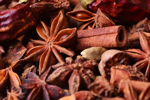 Foto: Julia Lelija / shutterstock