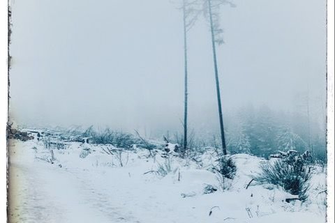 (c)Burkhard Heinrichs