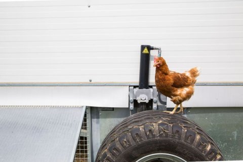 Symbolfoto Landleben, Foto: Sascha Kreklau