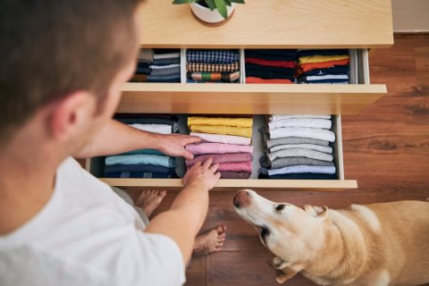 Von oben sehen wir einen Mann barfu&szlig; auf einem Holzfu&szlig;boden stehend, der in zwei teils ge&ouml;ffnete Schubladen einer Kommode schaut. In einer der Schubladen sind sehr ordentlich aufgereihte T-Shirts zu sehen, in der anderen ebenfalls sehr ordentlich gefaltete Einsteckt&uuml;cher, Krawatten oder Socken. Neben dem Mann steht ein Hund, der seinen Blick ebenfalls zur Kommode gerichtet hat. 