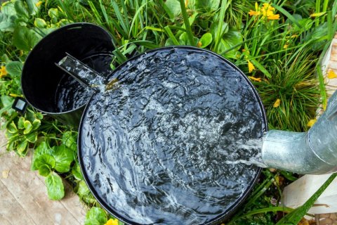Aus einer Regenrinne fließt Wasser in einen großen und von dort in einen kleineren Metallbottich, die beide auf einer Wiese stehen. 