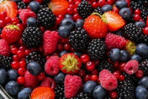 Foto: Shutterstock AI