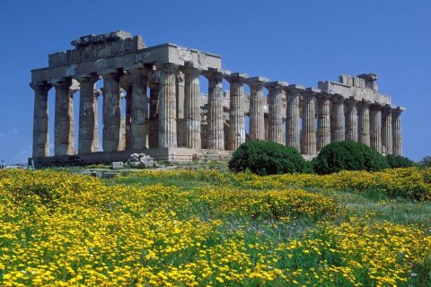 Griechischer dorischer Tempel mit zwei Reihen hoher Sandsteins&auml;ulen auf leicht erh&ouml;htem Terrain. Vor dem Bauwerk ein dichtes Bl&uuml;tenfeld aus gelben Wildblumen, dazwischen gr&uuml;ne B&uuml;sche. Das Mauerwerk ist stark verwittert, Teile des Geb&auml;lks fehlen. Wolkenloser blauer Himmel. Foto: Langer