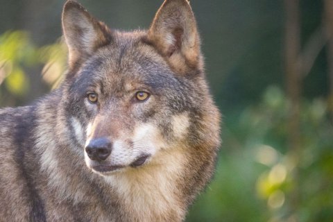 Foto: Stefan Eschweiler