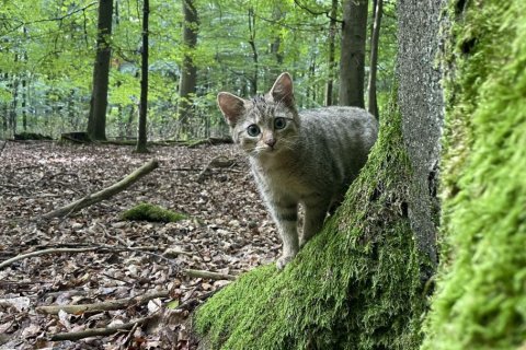 Foto: Jan Preller