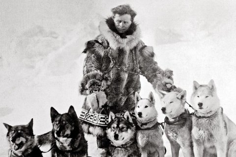 Schwarz-Wei&szlig;-Fotografie: Ein Mann in dickem Fellparka mit breitem Pelzkragen steht hinter sechs angeschirrten Schlittenhunden im Schnee. Er blickt zur Seite, das Haar vom Wind zerzaust. Mit beiden F&auml;ustlingen fasst er die Halsb&auml;nder zweier Hunde. Die Huskys sitzen in einer Reihe, ihr Fell reicht von dunkel bis fast wei&szlig;. Um die H&uuml;fte tr&auml;gt der Mann einen breiten G&uuml;rtel mit Schachbrettmuster. Der Hintergrund ist eine helle, verschneite Fl&auml;che. (Foto: Carrie McLain Museum)
